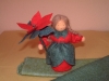 th_weihnachtsstern_thb.jpg